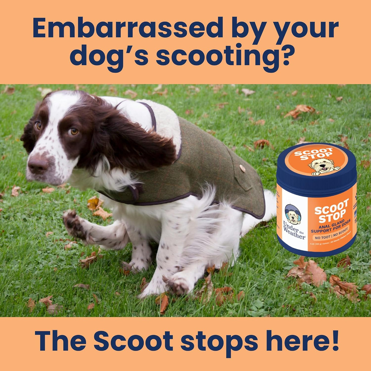 Under The Weather Scoot Stop Chews for Dogs 60 Masticables