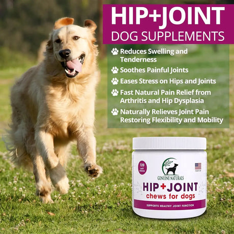 GENUINE NATURALS - Genuine Naturals Hip and Joint Supplement for Dogs 120 Masticables - The Red Vitamin MX - Cuidado De Cadera Y Articulaciones Para Perros - {{ shop.shopifyCountryName }}