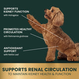 VETRISCIENCE - VetriScience Kidney Health 60 Tabletas Masticables - The Red Vitamin MX - Suplementos Herbales Para Perros - {{ shop.shopifyCountryName }}
