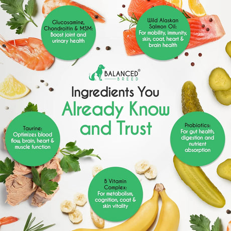 BALANCED BREED - Balanced Breed All-in-1 Dog Vitamins 60 Masticables - The Red Vitamin MX - Multivitamínicos Para Perros - {{ shop.shopifyCountryName }}