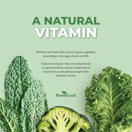 FOREST LEAF - ForestLeaf Vitamin B2 Riboflavin 400Mg. 90 Capsulas 2 Pack - The Red Vitamin MX - Suplementos Alimenticios - {{ shop.shopifyCountryName }}