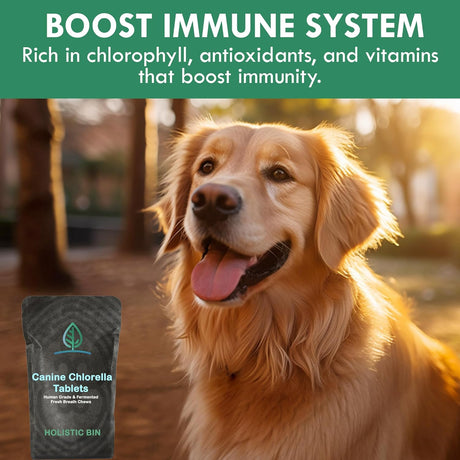 HOLISTIC BIN - Holistic Bin Canine Chlorella Tablets 100 Tabletas - The Red Vitamin MX - Suplementos Herbales Para Perros - {{ shop.shopifyCountryName }}