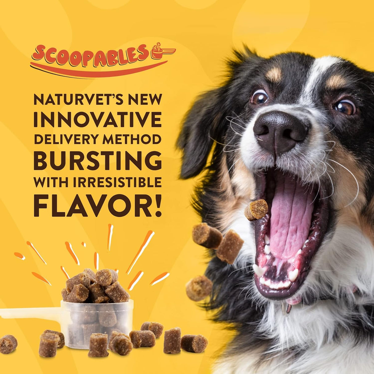 NaturVet Scoopables Omega-Gold Anchovy Oil & Salmon Supplement For Dogs and Cats 315Gr.