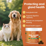 VivaElixir Constipated Cat - Pumpkin + Probiotic Soft Chews 120 Masticables