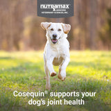 Nutramax Cosequin Joint Health Supplement for Dogs 120 Masticables