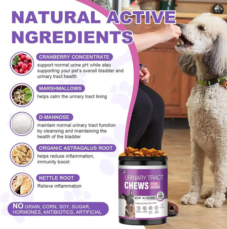 TTLXBL - TTLXBL Dog UTI Treatment Cranberry Supplement for Dogs 200 Masticables - The Red Vitamin MX - Salud De Tracto Urinario Para Perros - {{ shop.shopifyCountryName }}