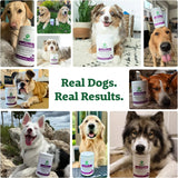 DOGGIE DAILIES - Doggie Dailies 5 in 1 Multivitamin for Dogs Peanut Butter 225 Masticables - The Red Vitamin MX - Multivitamínicos Para Perros - {{ shop.shopifyCountryName }}