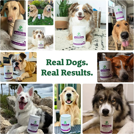 DOGGIE DAILIES - Doggie Dailies 5 in 1 Multivitamin for Dogs Peanut Butter 225 Masticables - The Red Vitamin MX - Multivitamínicos Para Perros - {{ shop.shopifyCountryName }}