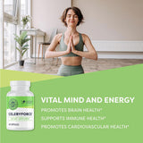 Vimergy Celeryforce Nutrients and Amino Acids 60 Capsulas