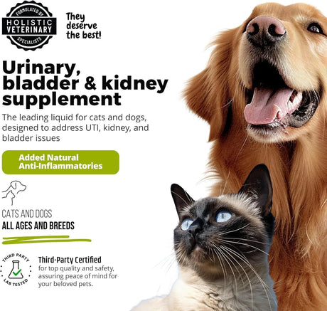 UROMAXX - UroMAXX Cat & Dog Urinary Tract Treatment Salmon Flavor 6 Fl.Oz. - The Red Vitamin MX - Salud De Tracto Urinario Para Perros - {{ shop.shopifyCountryName }}