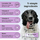 LAVENGEL - Lavengel for Dogs Reduces Skin Irritations and Itching 8Gr. - The Red Vitamin MX - Remedios Para La Picazón De Perros - {{ shop.shopifyCountryName }}