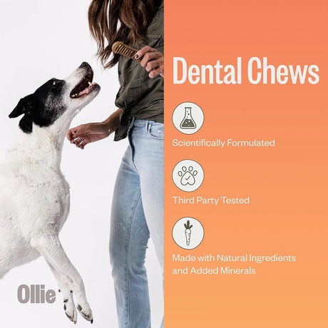 OLLIE - Ollie Dental Chews for Medium Dogs for Pups 26-50 lbs 14 Piezas - The Red Vitamin MX - Cuidado Dental Para Perros - {{ shop.shopifyCountryName }}