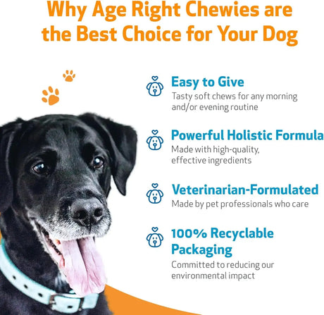 PET WELLBEING - Pet Wellbeing Age Right Chewies for Dogs in their Prime & Senior Years 90 Masticables - The Red Vitamin MX - Multivitamínicos Para Perros - {{ shop.shopifyCountryName }}