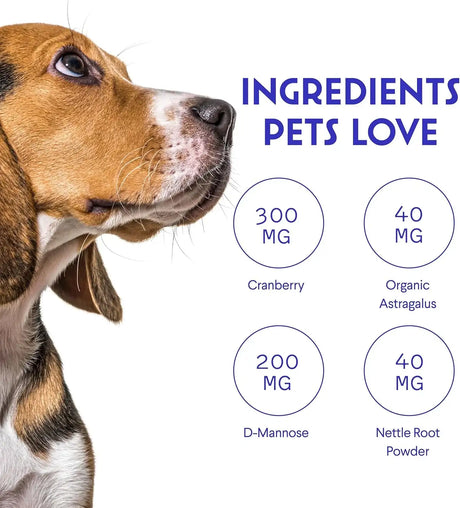WONDER PAWS - WONDER PAWS Premium Kidney Support for Dogs 2 Fl.Oz. - The Red Vitamin MX - Salud De Tracto Urinario Para Perros - {{ shop.shopifyCountryName }}