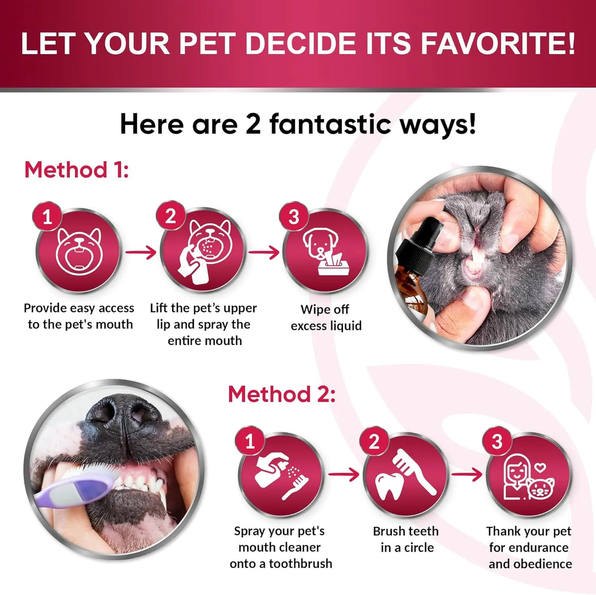 LEACADEMIC - LeAcademic Dog Breath Freshener 118Ml. - The Red Vitamin MX - Cuidado Dental Para Perros - {{ shop.shopifyCountryName }}