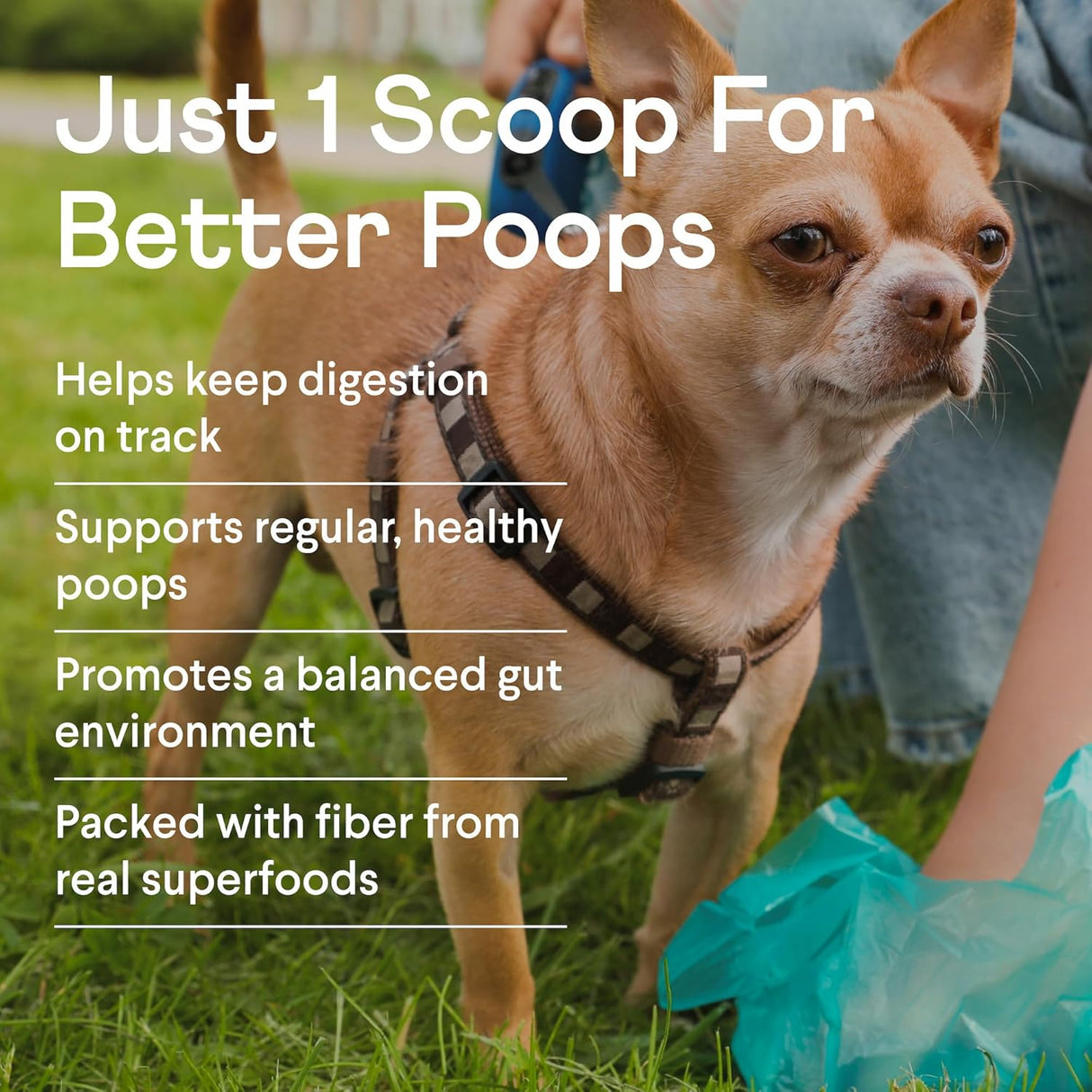 Finn Pumpkin Plus: Daily Digestive Support & Fiber-Rich Topper for Dogs 227Gr.