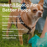 Finn Pumpkin Plus: Daily Digestive Support & Fiber-Rich Topper for Dogs 227Gr.