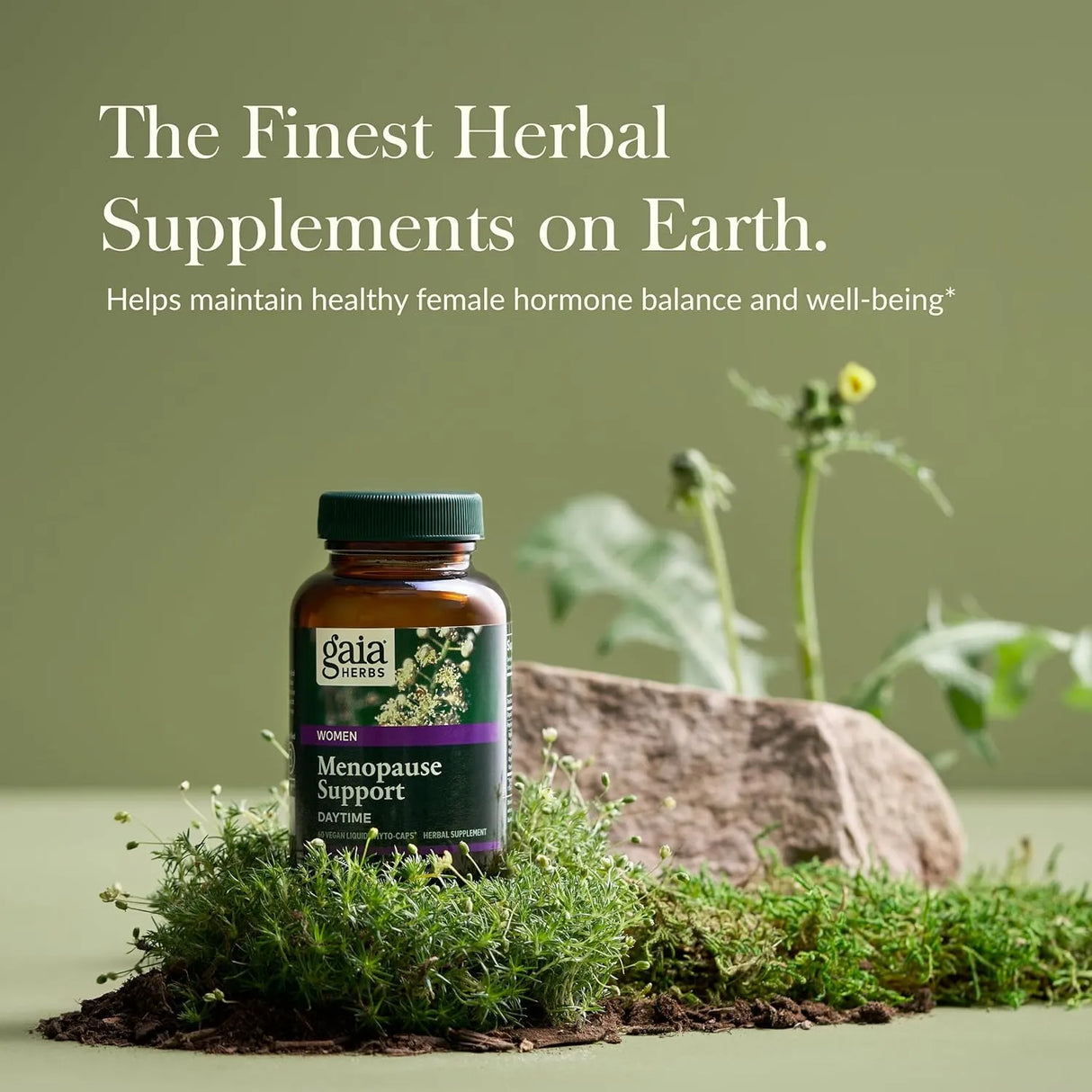 GAIA HERBS - Gaia Herbs Menopause Support Daytime 60 Capsulas - The Red Vitamin MX - Suplementos Alimenticios - {{ shop.shopifyCountryName }}