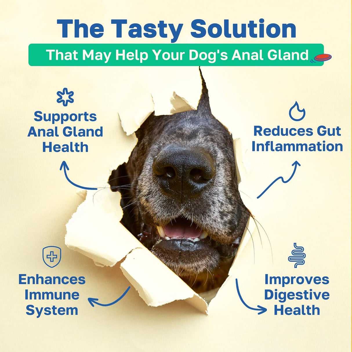 Happy Paws Scoot Stop Dog Chews Chicken Flavor 100 Masticables