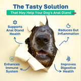 Happy Paws Scoot Stop Dog Chews Chicken Flavor 100 Masticables