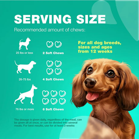 CHEWIA - CHEWIA Probiotics for Dogs 70 Masticables - The Red Vitamin MX - Probióticos Para Perros - {{ shop.shopifyCountryName }}