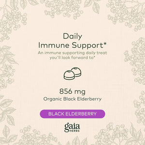 GAIA HERBS - Gaia Herbs Black Elderberry 80 Gomitas - The Red Vitamin MX - Suplementos Alimenticios - {{ shop.shopifyCountryName }}