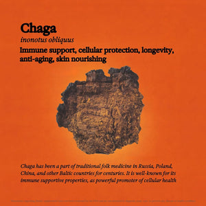 RAINBO - Rainbo Chaga Mushroom Tincture 3.4 Fl.Oz. - The Red Vitamin MX - Suplementos Alimenticios - {{ shop.shopifyCountryName }}