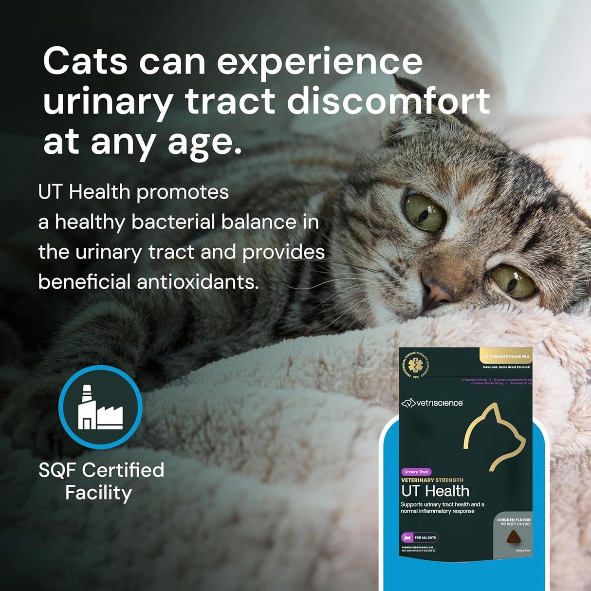 VetriScience Veterinary Strength UT Health Chews Cats 90 Masticables