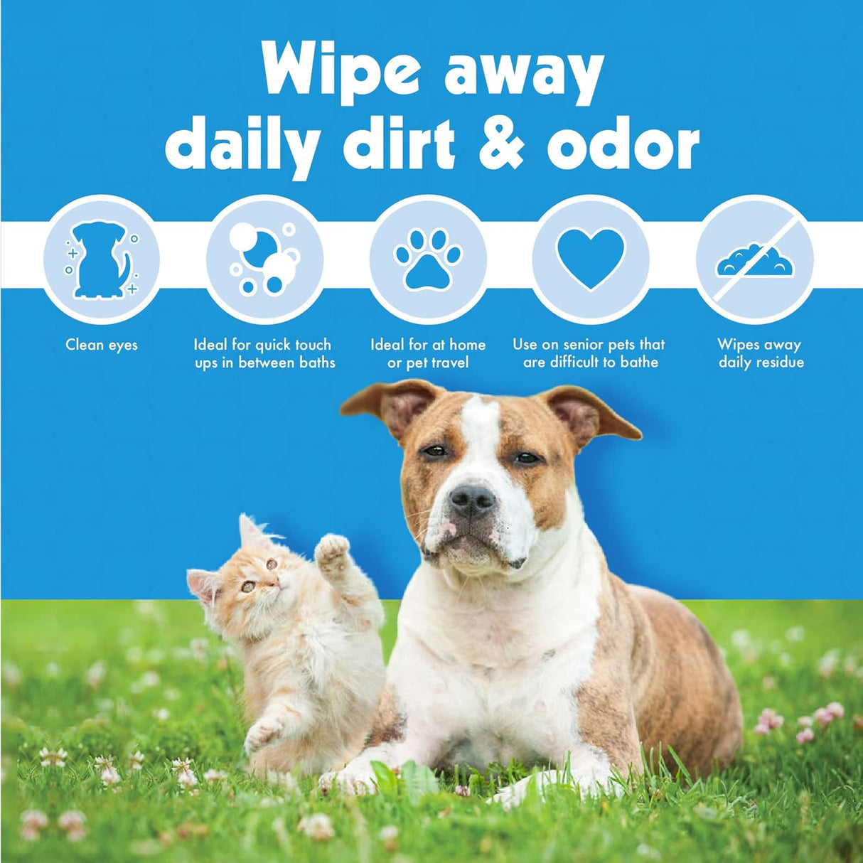 Petkin Kitty Eye Wipes 40 Toallitas