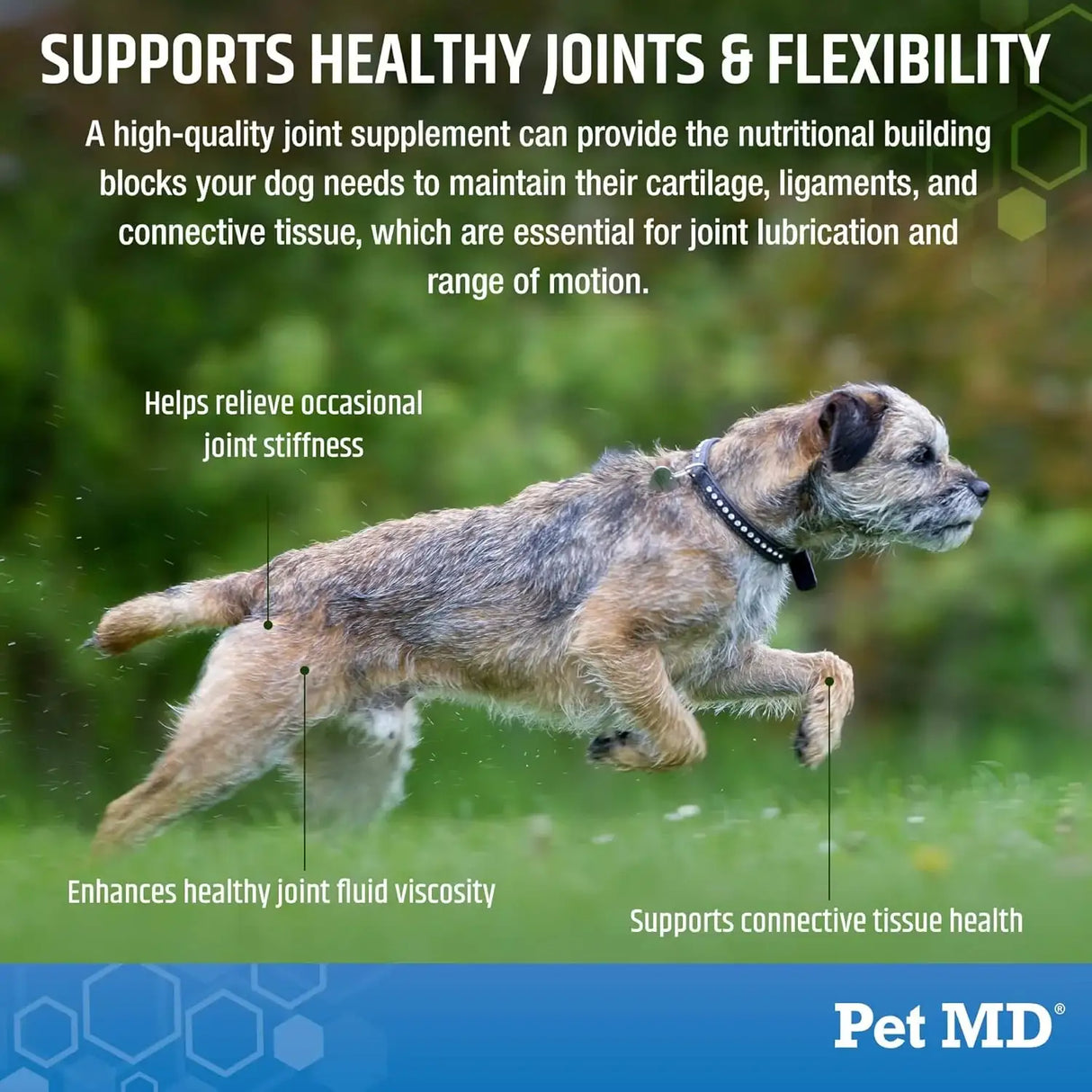 PET MD - Pet MD Glucosamine for Dogs 120 Masticables - The Red Vitamin MX - Cuidado De Cadera Y Articulaciones Para Perros - {{ shop.shopifyCountryName }}
