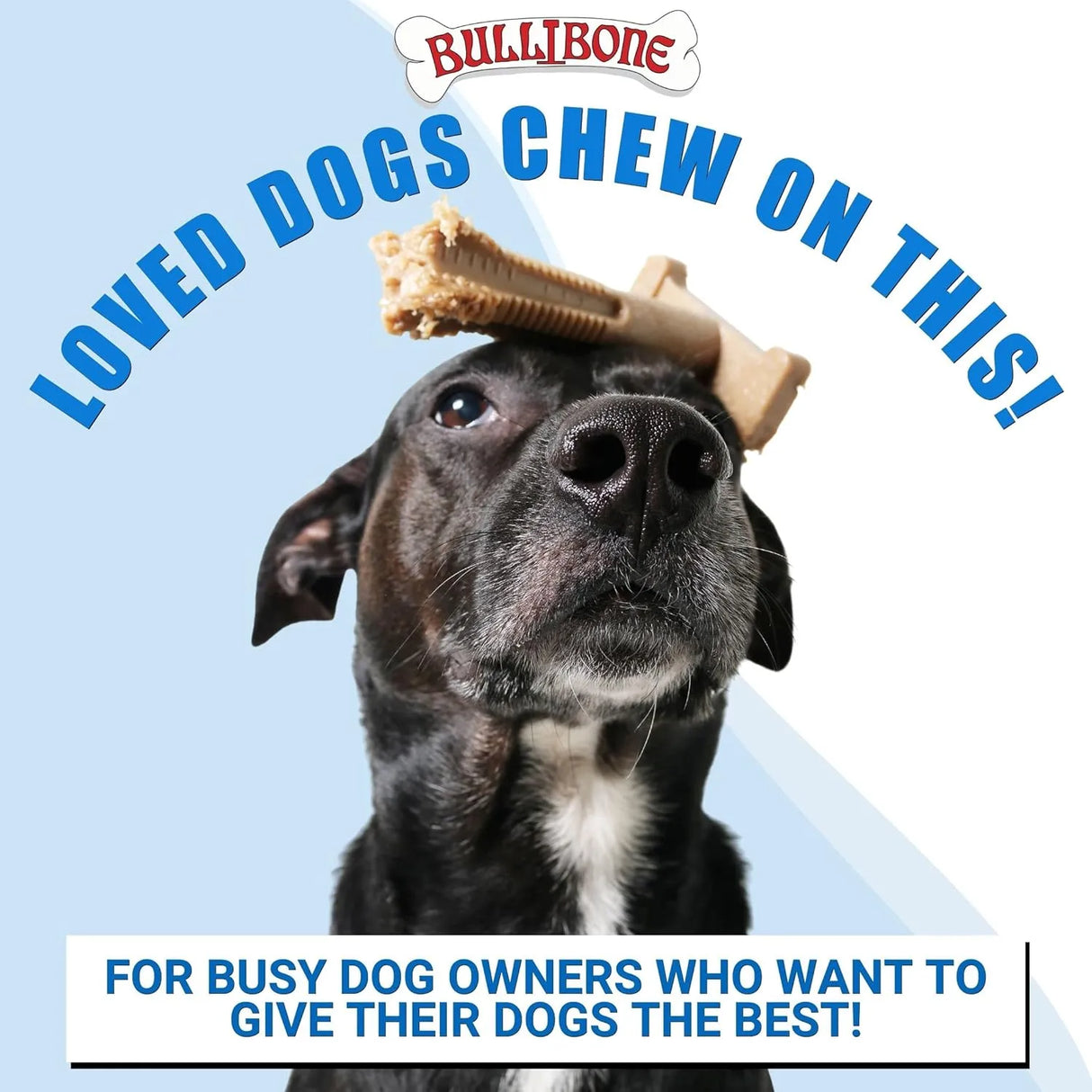 BULIBONE - Bullibone SuperBrush: Dog Teeth Cleaning Brushing Toothbrush Stick Large Apple Cinnamon 1 Pieza - The Red Vitamin MX - Cuidado Dental Para Perros - {{ shop.shopifyCountryName }}