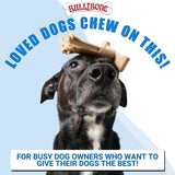 BULIBONE - Bullibone SuperBrush: Dog Teeth Cleaning Brushing Toothbrush Stick Large Apple Cinnamon 1 Pieza - The Red Vitamin MX - Cuidado Dental Para Perros - {{ shop.shopifyCountryName }}