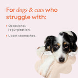Super Snouts Pumpkin Latte Digestive Supplement for Dogs 142Gr.