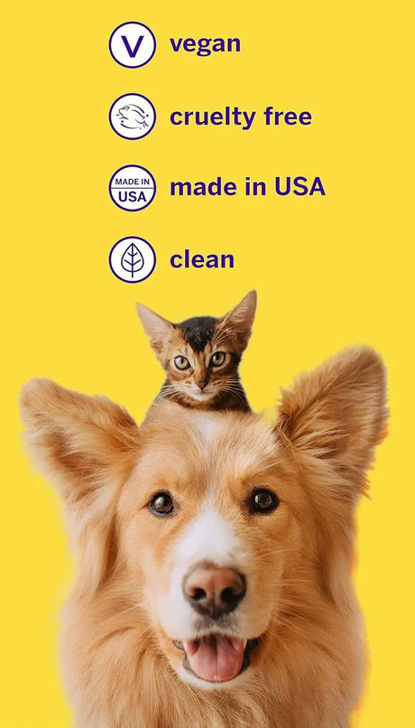PETSMILE - Petsmile Professional Pet Toothpaste London Broil Flavor 2.5 Oz. - The Red Vitamin MX - Cuidado Dental Para Perros - {{ shop.shopifyCountryName }}