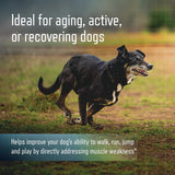 Virbac URSOLYX Soft Chews for Dogs Muscle Health Support 60 Masticables