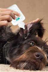 FORTICEP - Forticept Dog and Cat Ear Infection Treatment 2 Fl.Oz. - The Red Vitamin MX - Cuidado Del Oído De Perros - {{ shop.shopifyCountryName }}
