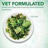 VET'S BEST - Vet's Best Probiotic Soft Chews Dog 90 Masticables - The Red Vitamin MX - Probióticos Para Perros - {{ shop.shopifyCountryName }}