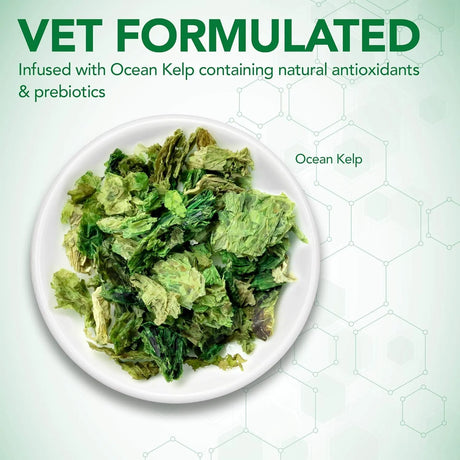 VET'S BEST - Vet's Best Probiotic Soft Chews Dog 90 Masticables - The Red Vitamin MX - Probióticos Para Perros - {{ shop.shopifyCountryName }}