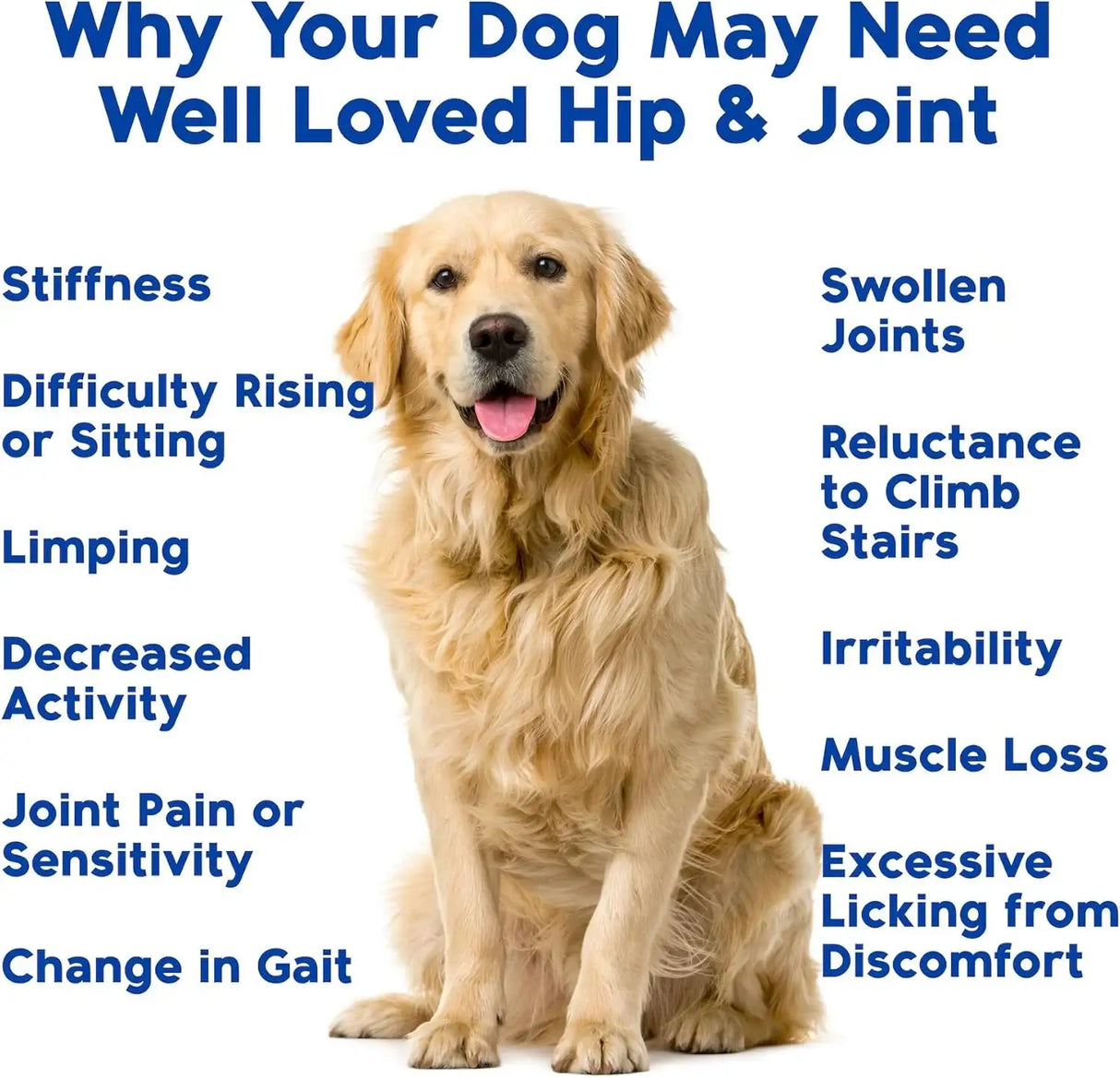 WELL LOVED - Well Loved Hip and Joint Chews with MSM 120 Masticables - The Red Vitamin MX - Cuidado De Cadera Y Articulaciones Para Perros - {{ shop.shopifyCountryName }}