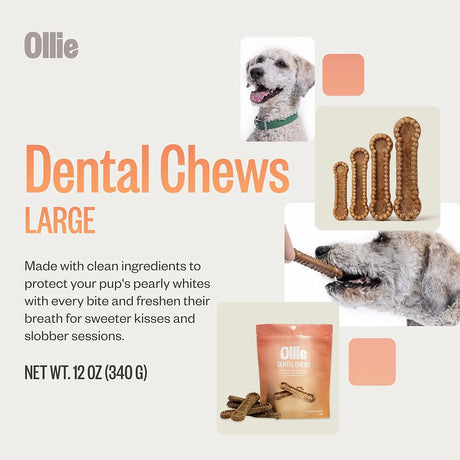 OLLIE - Ollie Dental Chews for Large Dogs 51 lbs and Above 8 Piezas - The Red Vitamin MX - Cuidado Dental Para Perros - {{ shop.shopifyCountryName }}