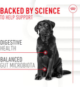Royal Canin Digestive Supplement Soft Chews for Adult Dogs 60 Masticables