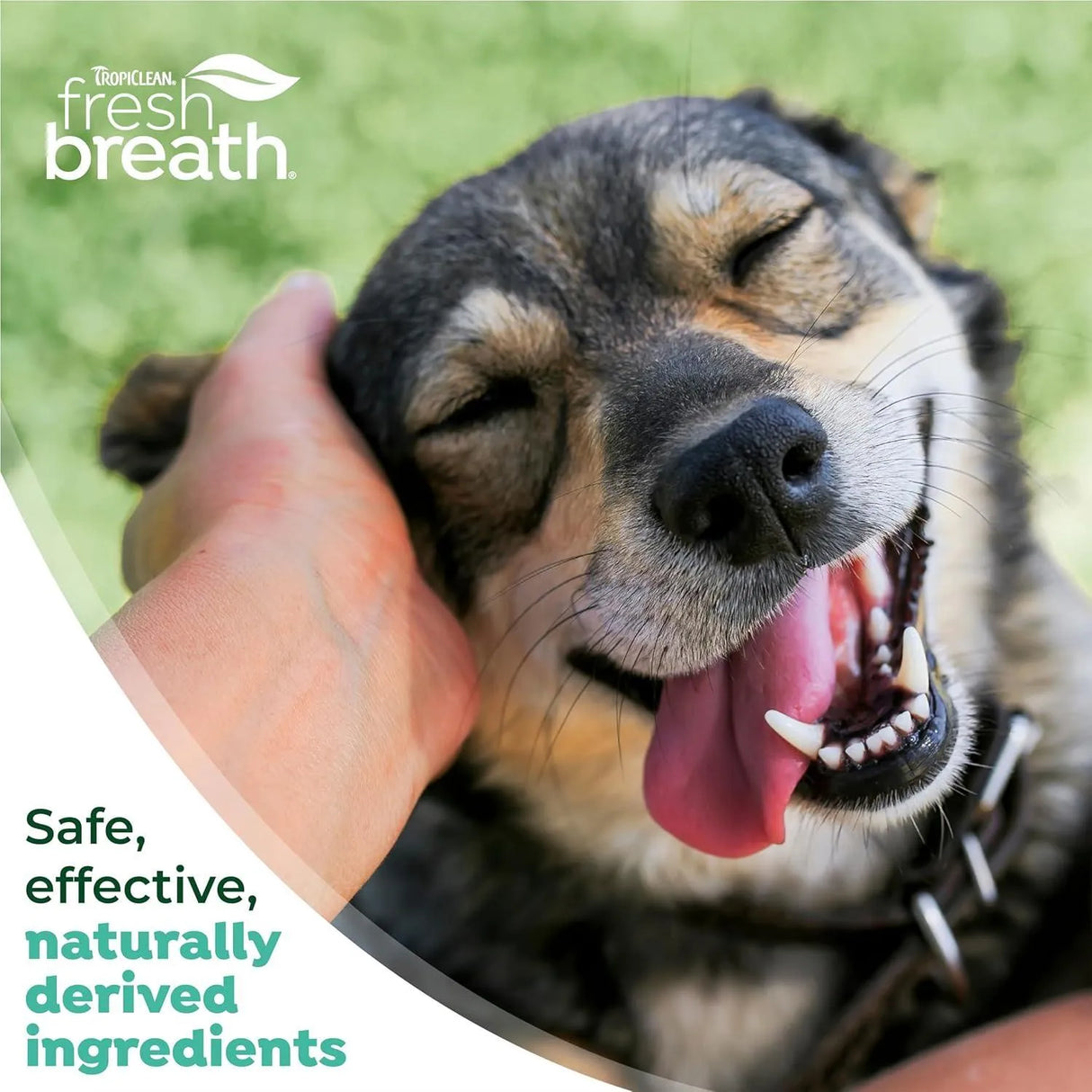 TROPICLEAN - TropiClean Fresh Breath Toothbrush Kit for Small & Medium Dogs 2 Fl.Oz. - The Red Vitamin MX - Cuidado Dental Para Perros - {{ shop.shopifyCountryName }}