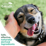 TROPICLEAN - TropiClean Fresh Breath Toothbrush Kit for Small & Medium Dogs 2 Fl.Oz. - The Red Vitamin MX - Cuidado Dental Para Perros - {{ shop.shopifyCountryName }}