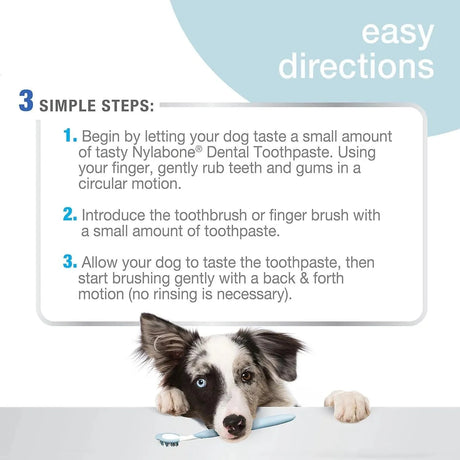 NYLABONE - Nylabone Advanced Oral Care Dog Dental Kit Original Flavor 2.5 Oz. - The Red Vitamin MX - Cuidado Dental Para Perros - {{ shop.shopifyCountryName }}