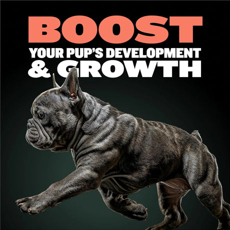 BULLY MAX - Bully Max 2-in-1 Puppy Vitamins 30 Tabletas Masticables - The Red Vitamin MX - Multivitamínicos Para Perros - {{ shop.shopifyCountryName }}