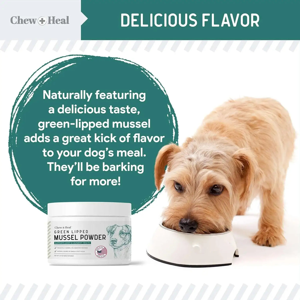 CHEW + HEAL - Chew + Heal Labs Green Lipped Mussel for Dogs 6 Oz. - The Red Vitamin MX - Cuidado De Cadera Y Articulaciones Para Perros - {{ shop.shopifyCountryName }}