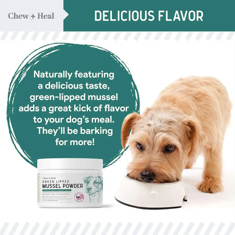CHEW + HEAL - Chew + Heal Labs Green Lipped Mussel for Dogs 6 Oz. - The Red Vitamin MX - Cuidado De Cadera Y Articulaciones Para Perros - {{ shop.shopifyCountryName }}