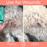 COAT DEFENSE - COAT DEFENSE Trouble Spot Drying Paste 5 Oz. - The Red Vitamin MX - Remedios Para La Picazón De Perros - {{ shop.shopifyCountryName }}