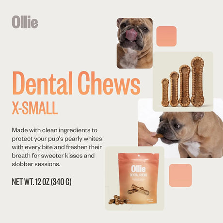 OLLIE - Ollie Dental Chews for Extra Small Dogs 5-15 lbs 42 Piezas - The Red Vitamin MX - Cuidado Dental Para Perros - {{ shop.shopifyCountryName }}