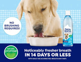 NATUREL PROMISE - Naturel Promise Fresh Dental Water Additive for Dogs 533Ml. - The Red Vitamin MX - Cuidado Dental Para Perros - {{ shop.shopifyCountryName }}